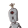 guest