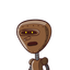 jonas