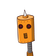 guest