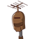 guest