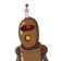 guest