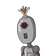 guest