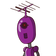 guest