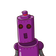 guest