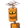 guest