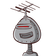 guest