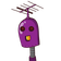 guest