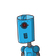 guest