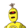 guest