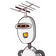 guest