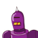 guest
