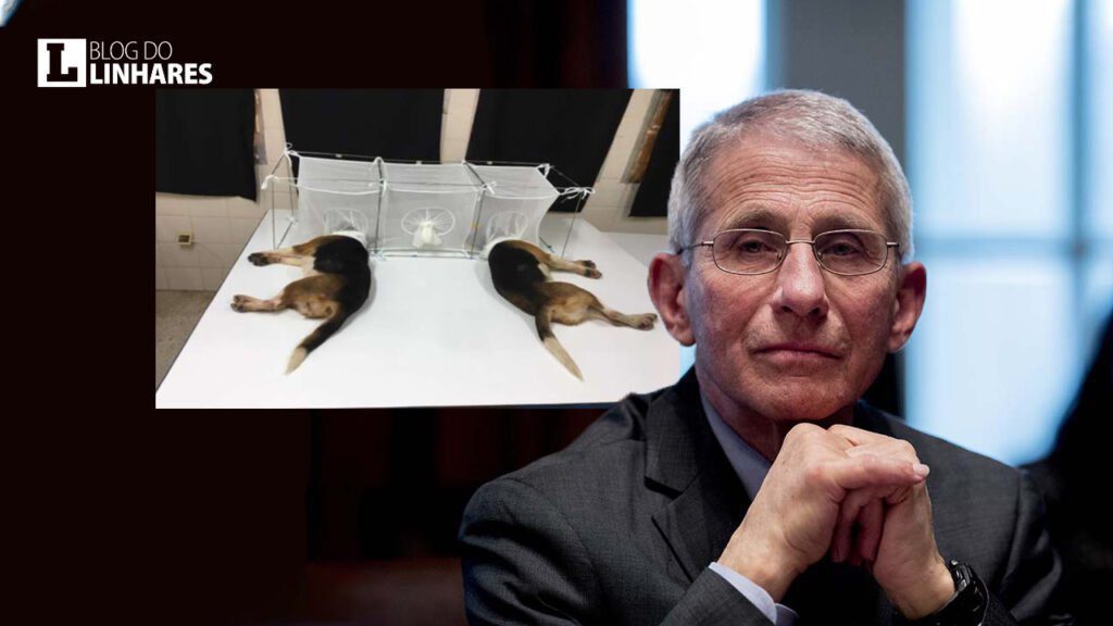 Anthony Fauci