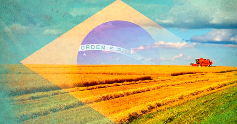 BRASIL EXPORTACOES