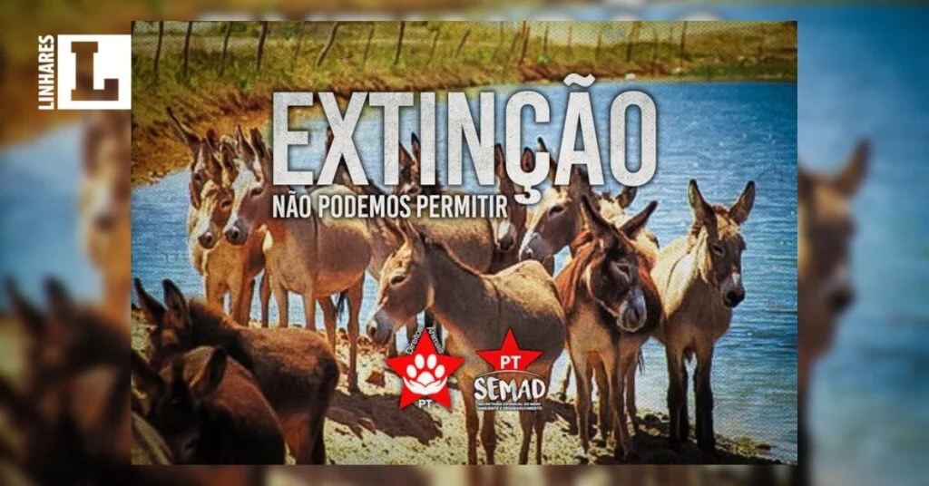 Minha Imag Princ BRANCA