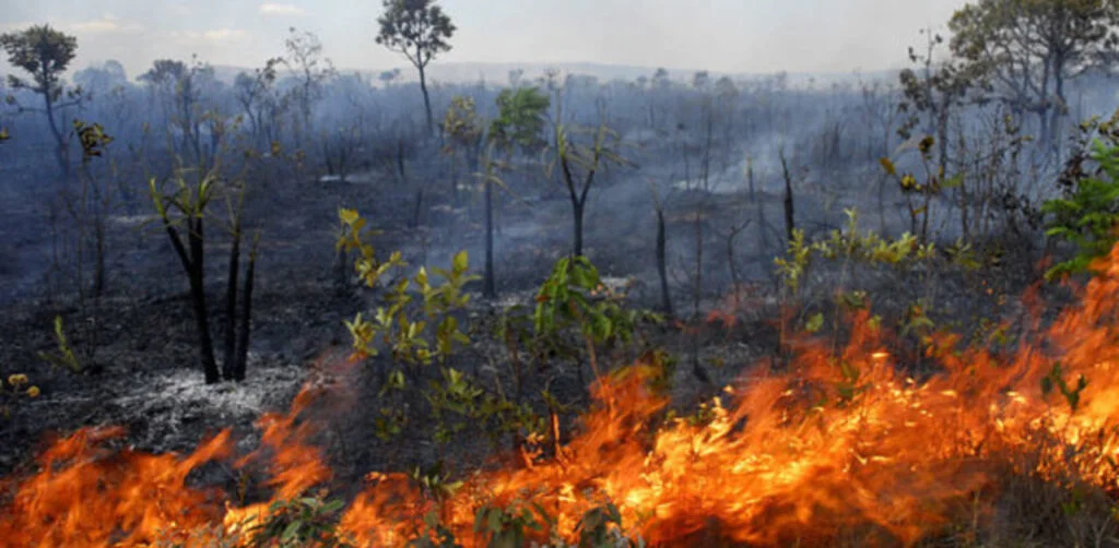 Maranhão queimadas