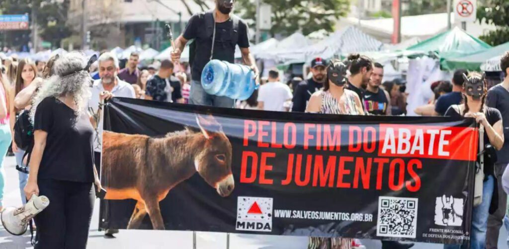 Protesto Jumentos