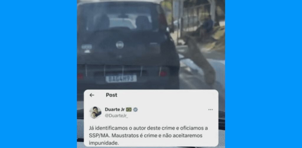 Duarte Junior