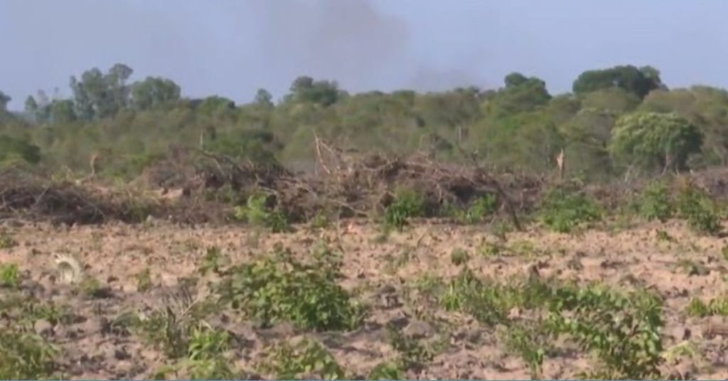 Maranhão Cerrado