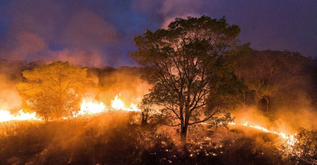 Incêndio Queimadas