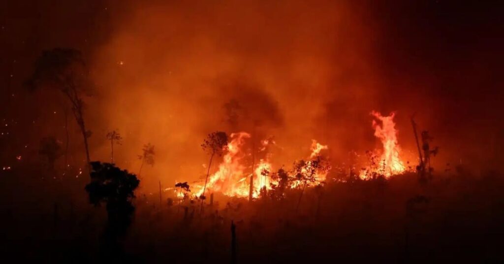 Incêndios Amazonas