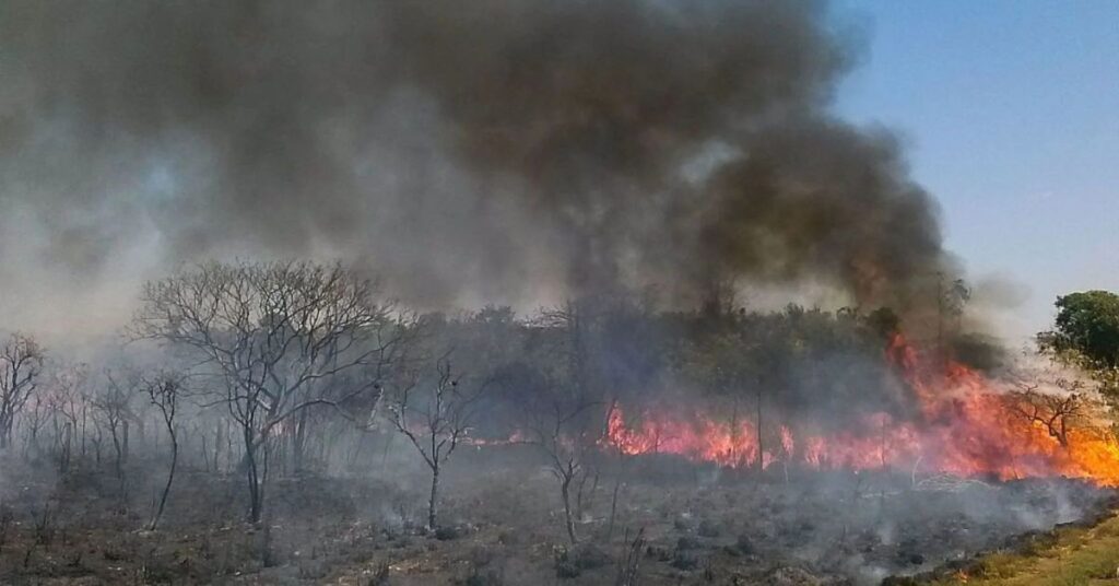 Maranhão incêndios