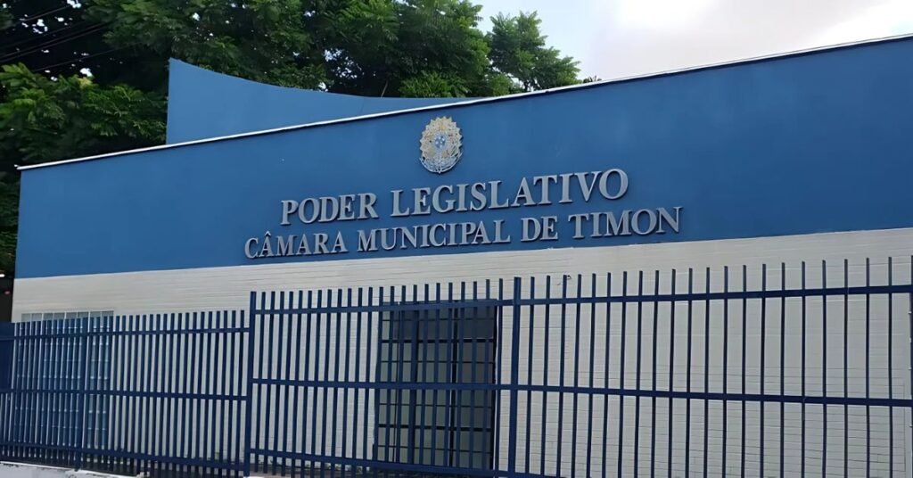 Timon comissionado