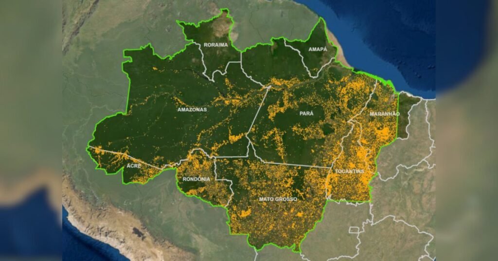 Amazônia Desmatamento