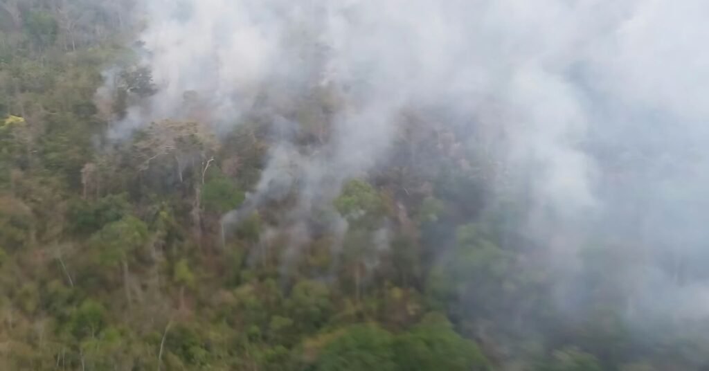 Queimadas incêndios