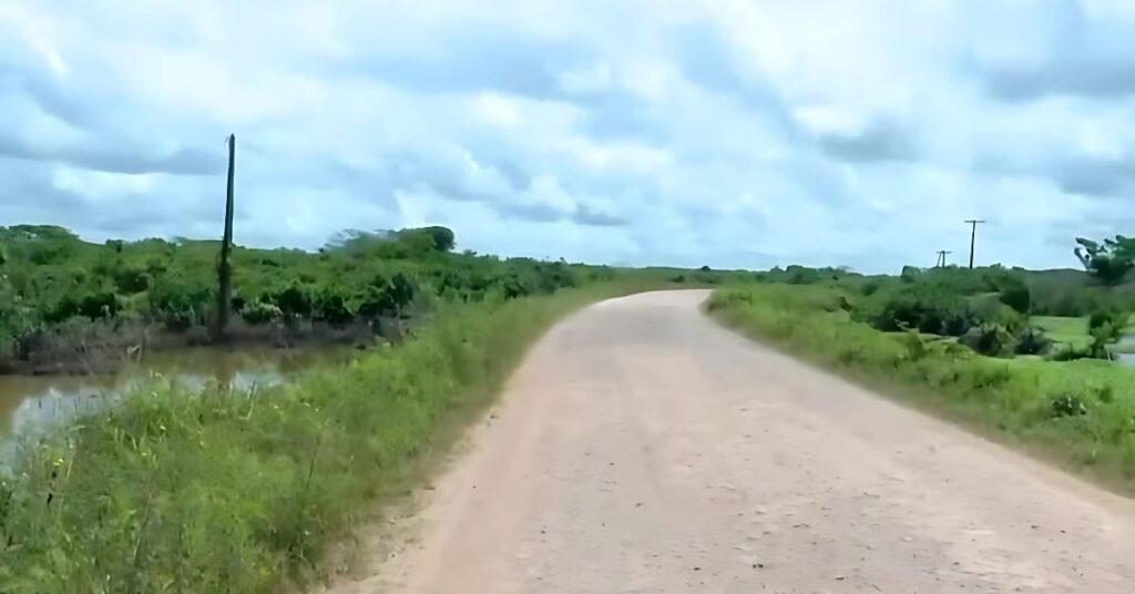 Emergência pindaré