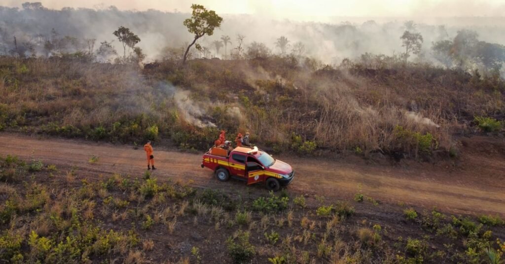 Maranhão incêndios