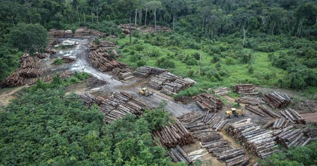 Amazônia COP30