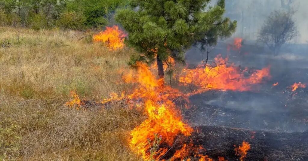 Queimadas incêndio