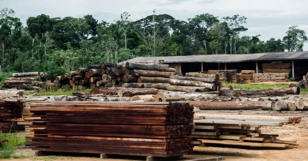 Maranhão desmatamento