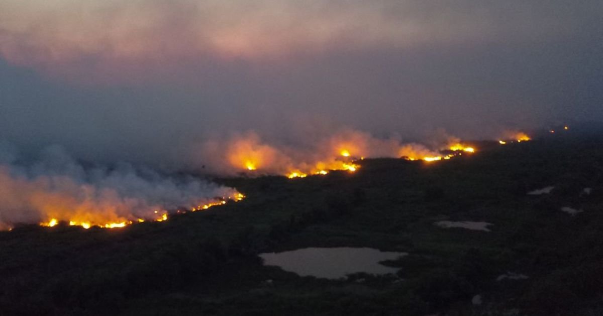 Incêndio queimadas