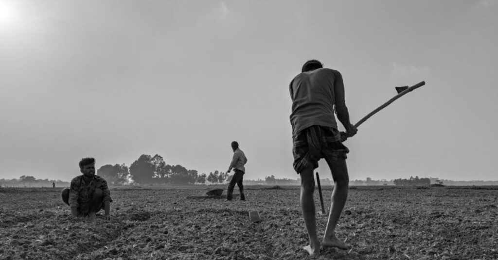 inadimplência crédito