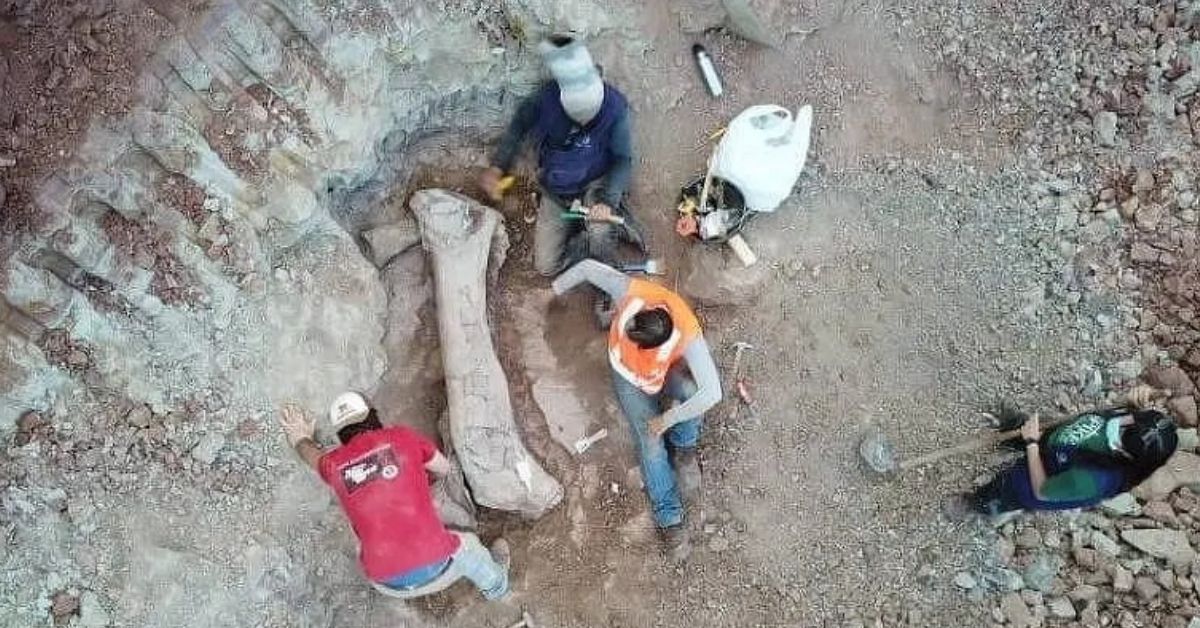 Titanossauro Maranhão