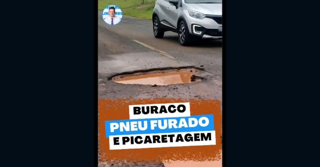 pneu politica