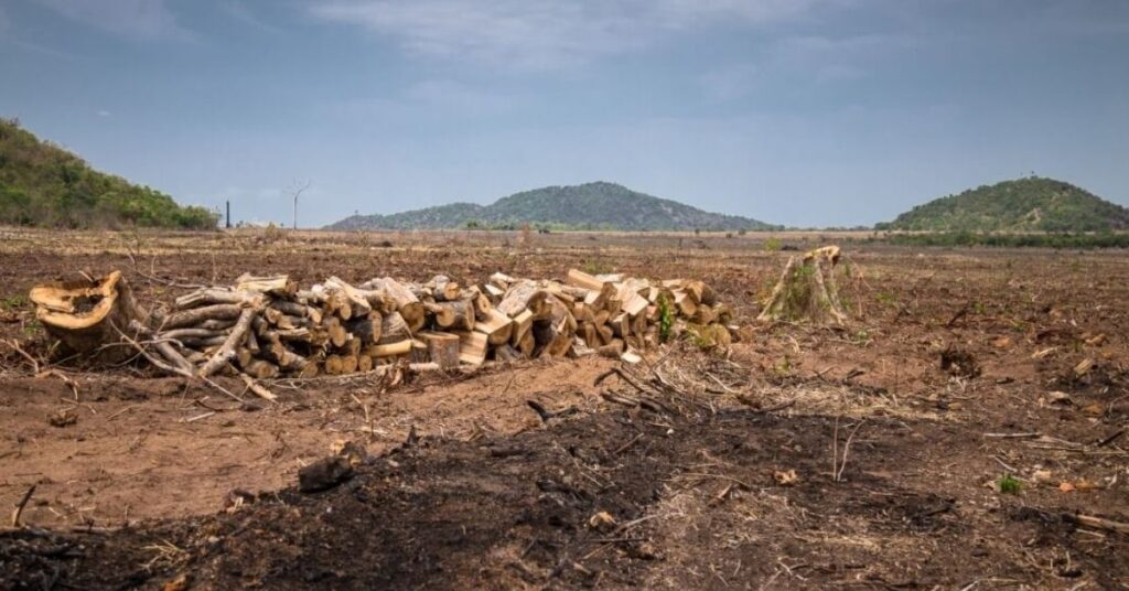 Fazendeiro quilombola