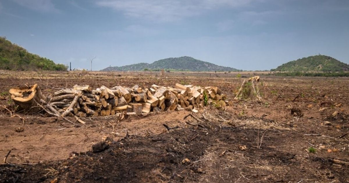 Fazendeiro quilombola