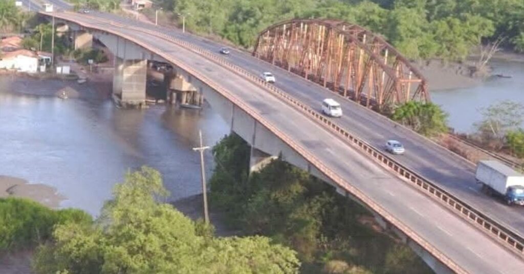 Ponte mosquitos