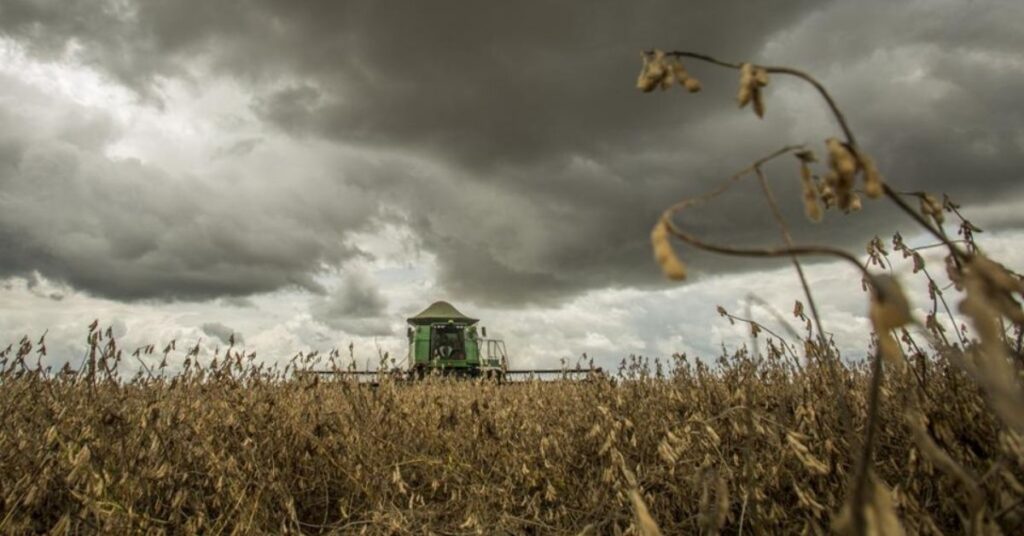 Faturamento agro