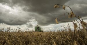 Faturamento agro