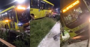 motorista ônibus