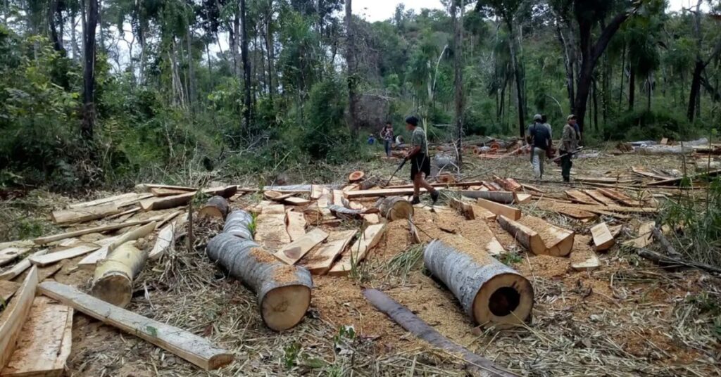 Maranhão desmatamento