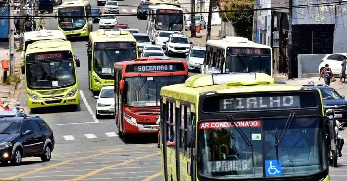 ônibus são luís