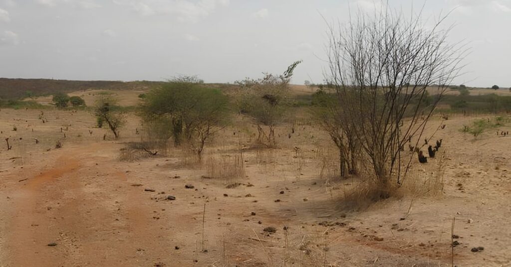 Seca maranhão